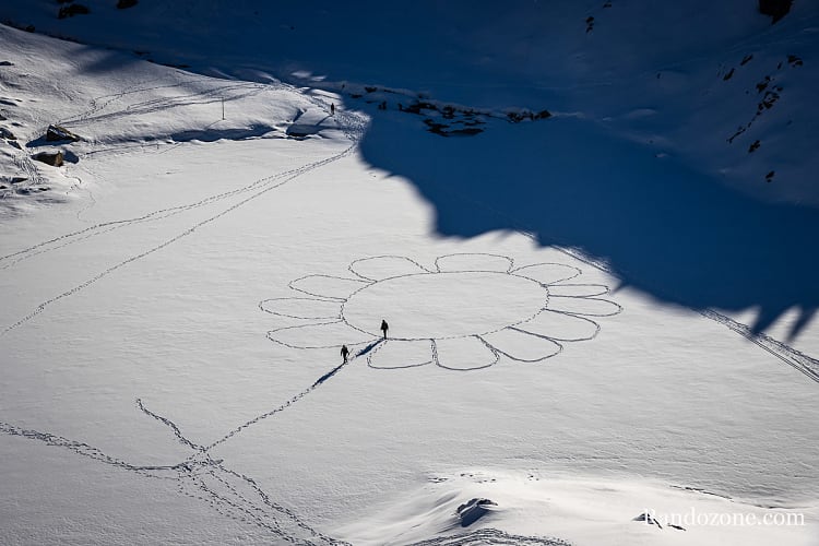 Fleur dans la neige sur le lac de la Glère