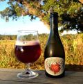 Jester King Atrial Rubicite - Sherry Barrel