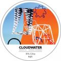 Cloudwater IPA Citra [Spring Summer 2016]