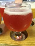 Aslin Gose (Blackberry & Raspberry)