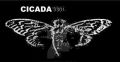 Amager Cicada 3301