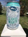 Dogfish Head Slightly Mighty