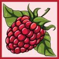 Nova Runda Fruit Expo: Raspberry Sour