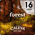 Caleya Forest Vibes