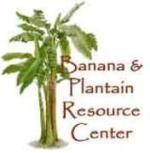 Banana Investments Ltd