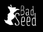 Bad Seed Cider Co., LLC