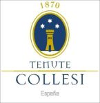 Tenute Collesi