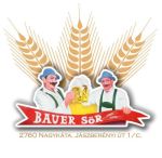 Bauer Sörfozde