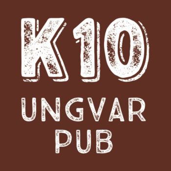 Craft multitap pub Korzo 10