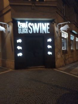 Black Swine / Černá Swine