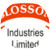 Blossom Industries Ltd, Daman