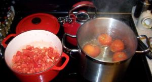 Tomatoes Prepping