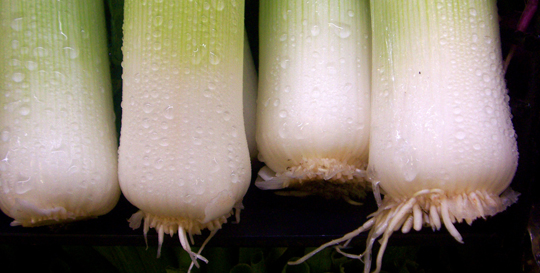 Leeks
