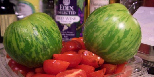 Tomatoes Tomatoes