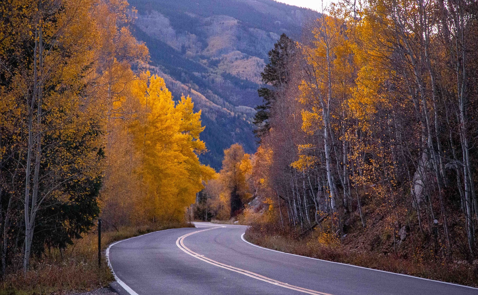 Independence Pass (Hunter Pass) in Colorado 2026 - Rove.me