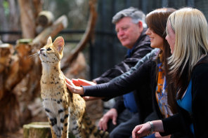 Exciting animal encounters 