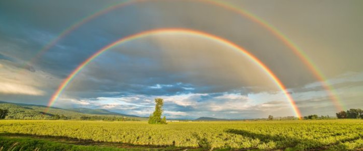 Zuversicht in Gott Blog-Post Bild