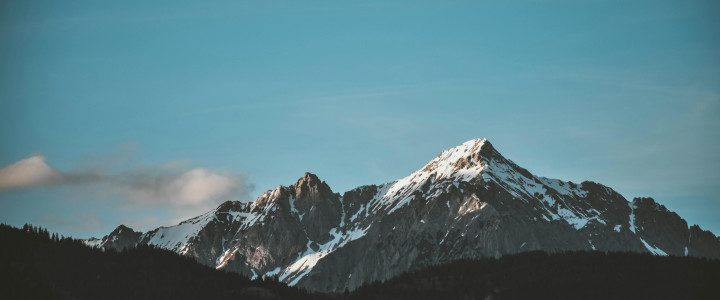 Des einen Freude des anderen Leid Blog-Post Bild