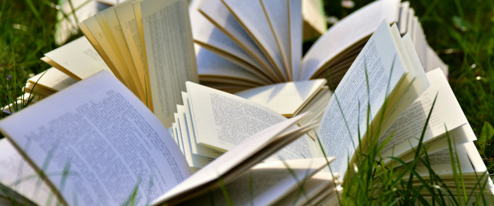 Wer will schon noch lernen? Blog-Post Bild