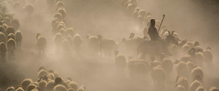 Unser Stand zu Israel! Blog-Post Bild