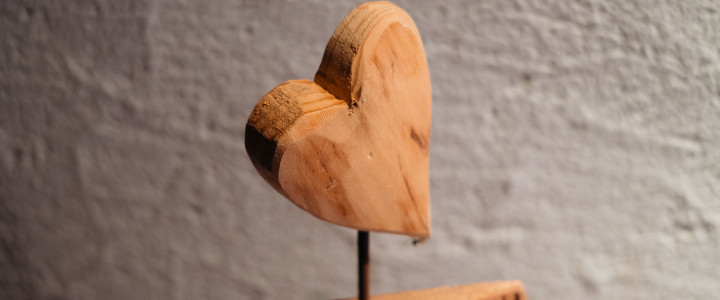 Wie wichtig ist unser Herz? Blog-Post Bild