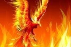 Phoenix Bird