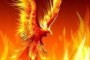 Phoenix Bird