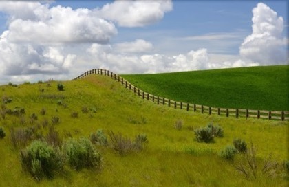 Greener Grass2