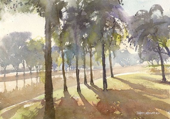 Palm Trees in the river