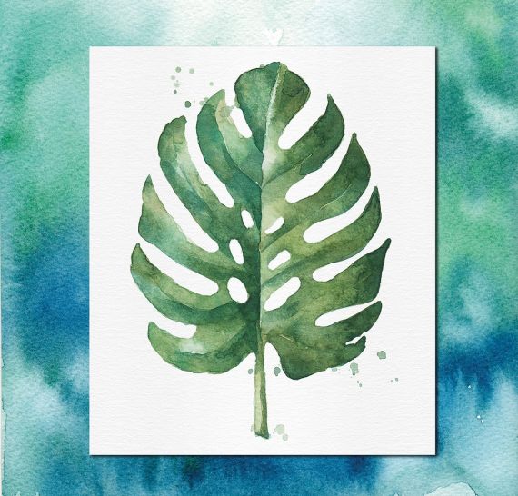 Leaf - Hering for you