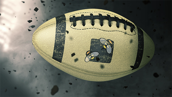 American Football Logo Reveals - 31