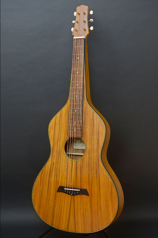 Asher Imperial Lap Steel