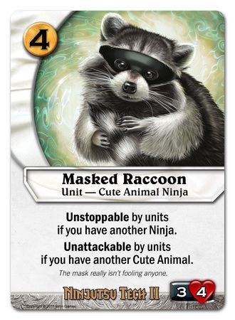 Masked Raccoon