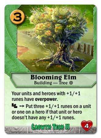 Blooming Elm