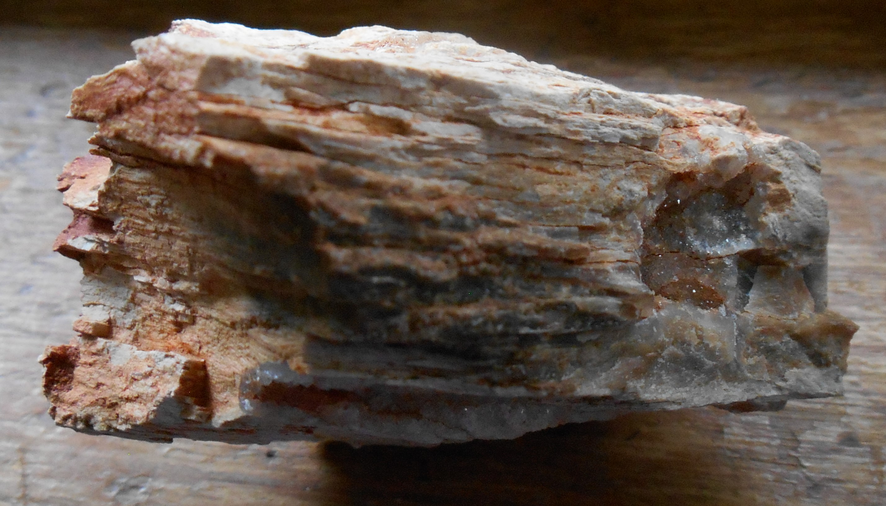Petrified wood with quartz Rock Tumbling Hobby