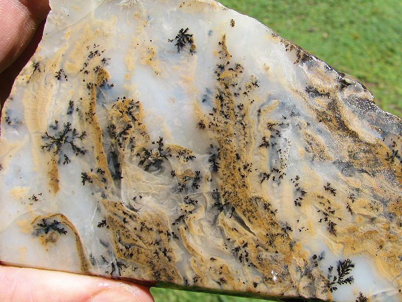 Sheep Creek Plume agate