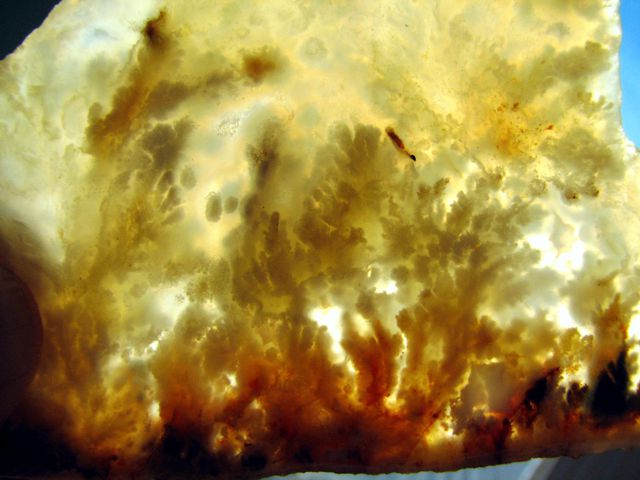 Stinkingwater Plume agate sliced thicker