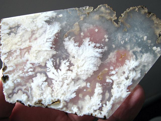 Stinkingwater Plume agate sliced thinner