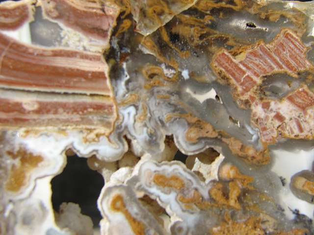 Eagle Rock agate