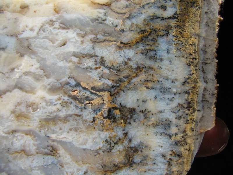 Sheep Creek Plume agate