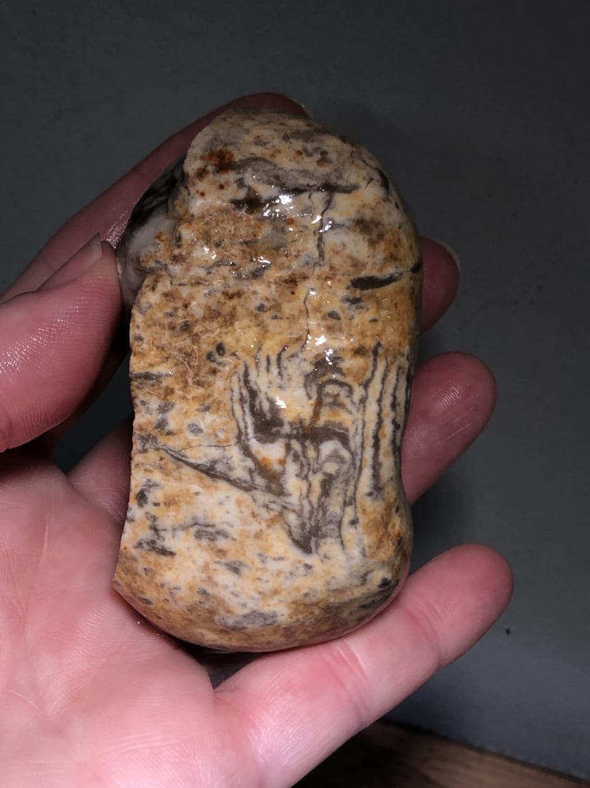 Are these dendrites? Fossils? Rock Tumbling Hobby