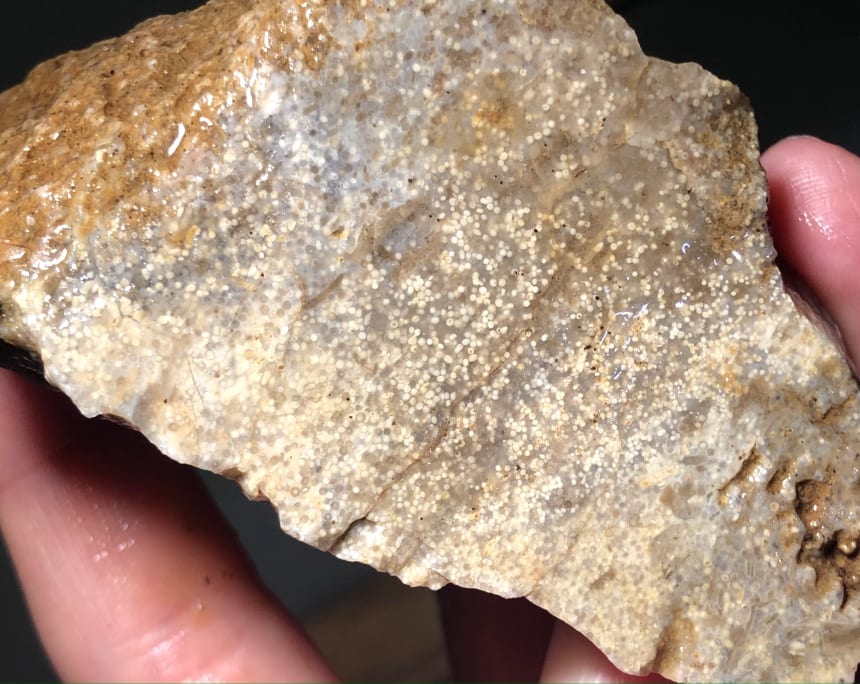 Found near a honeyhole of oolitic chert in SC Missouri Rock Tumbling Hobby