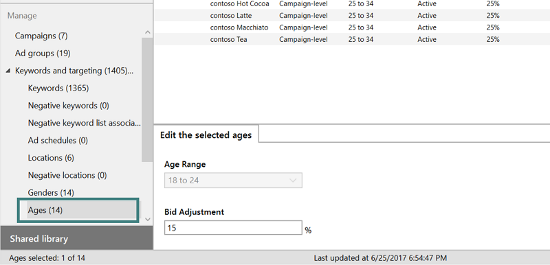 bing ads editor age demographic options