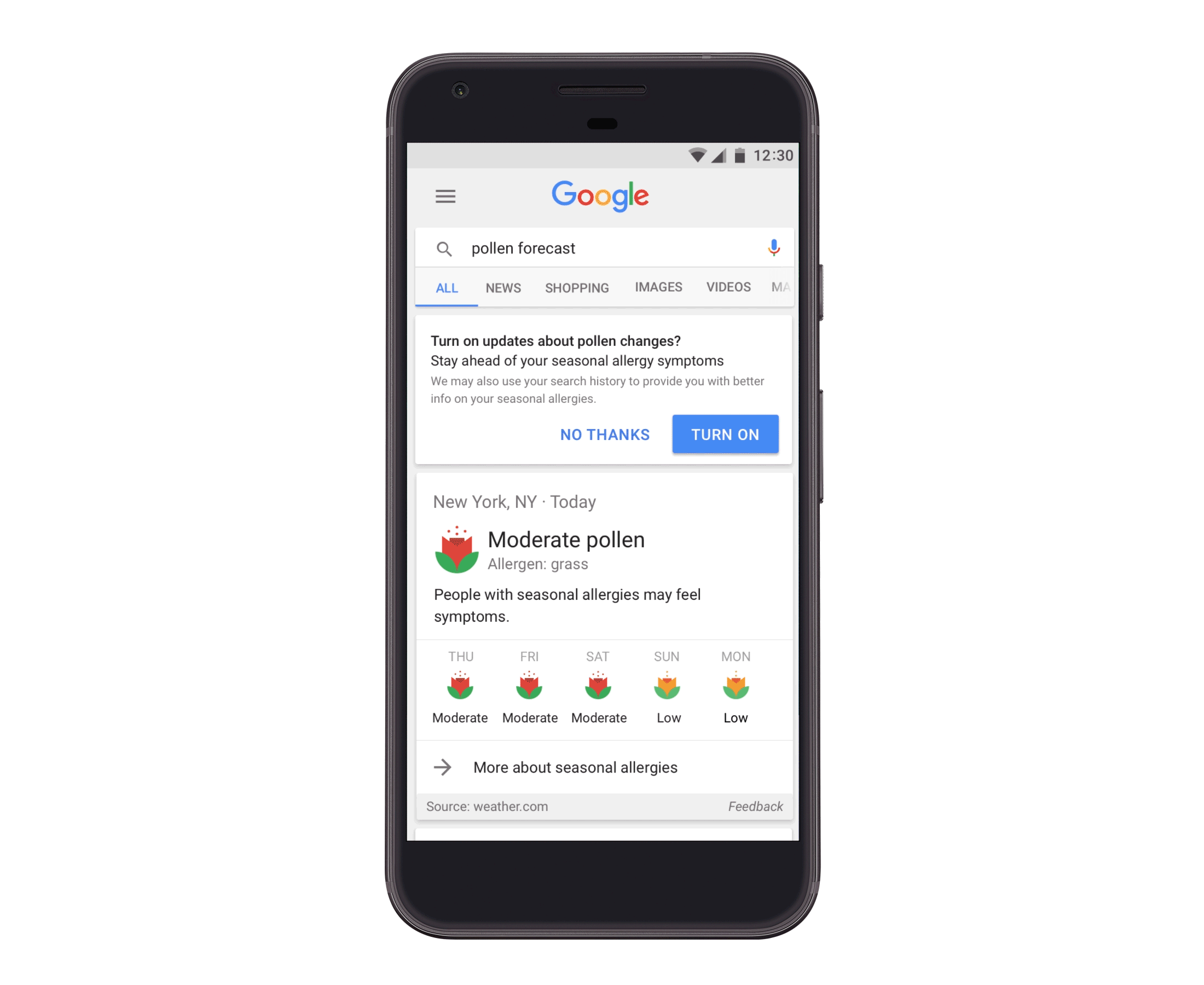 Pollen and allergy forcasting in Google app