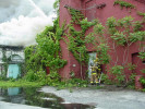 Incident image