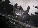 Incident image
