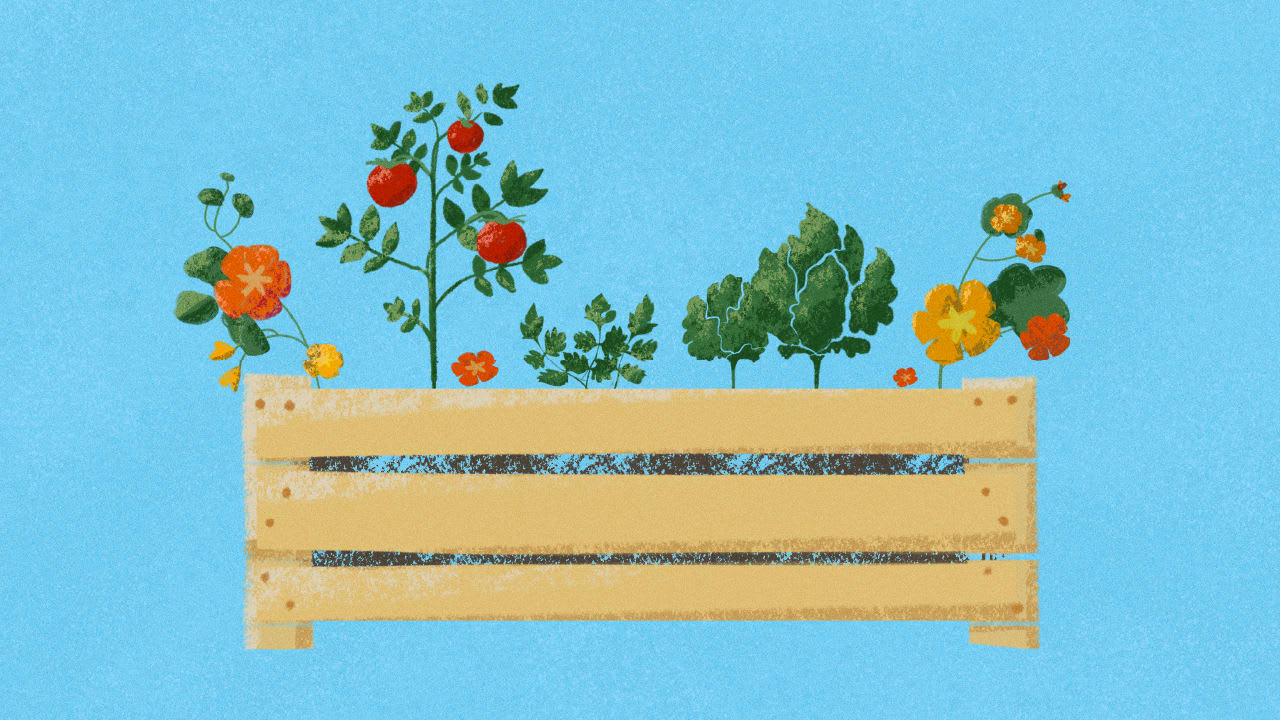 GROW: Tiny Gardens — No Space? No Problem