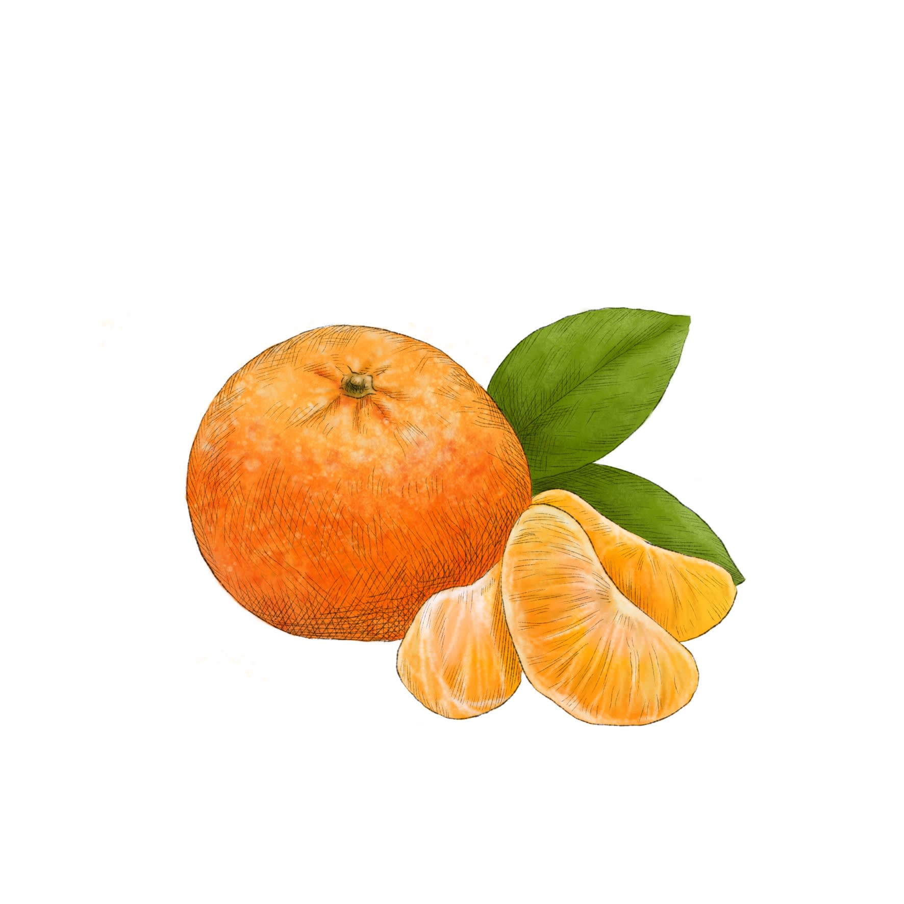 Mandarin orange