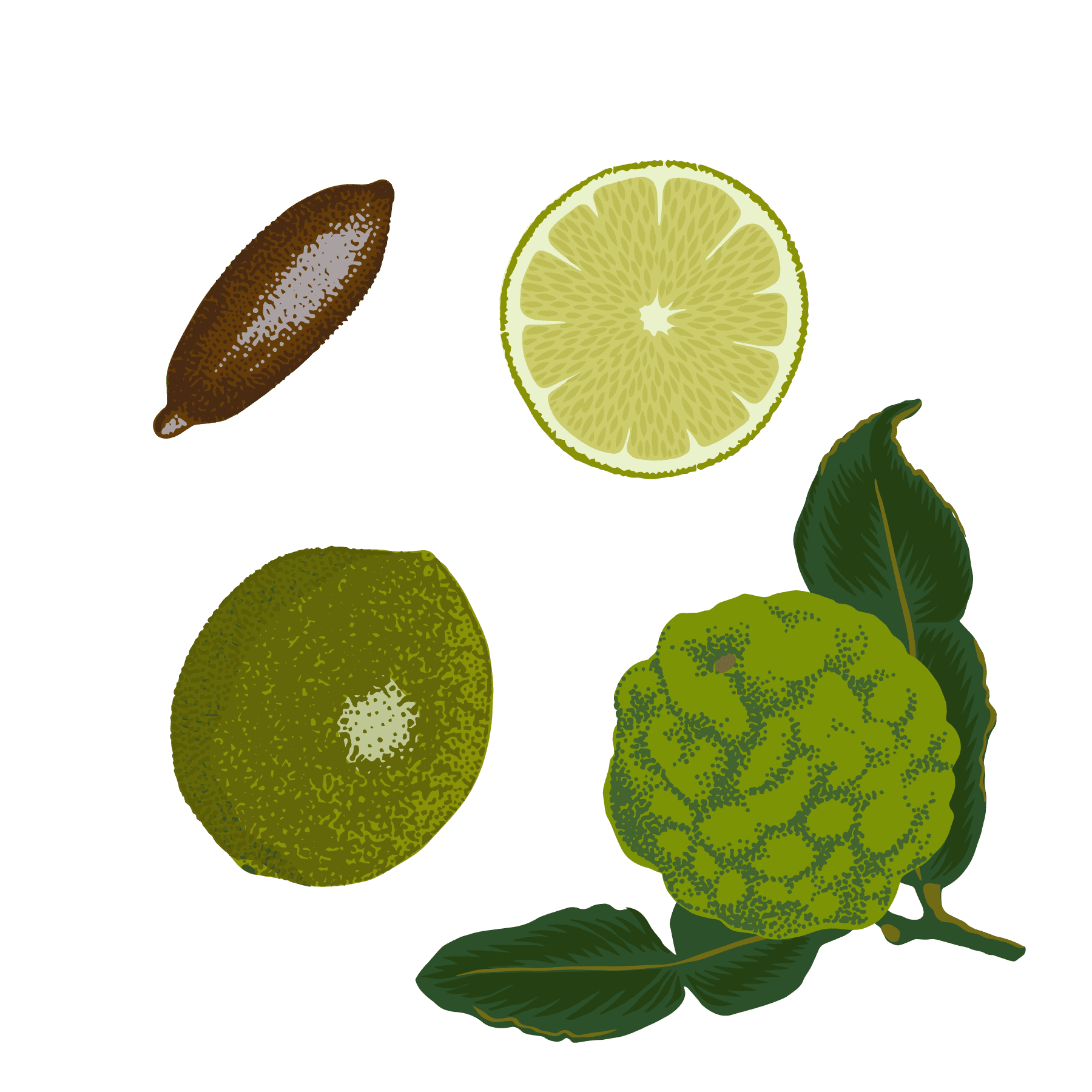 Lime