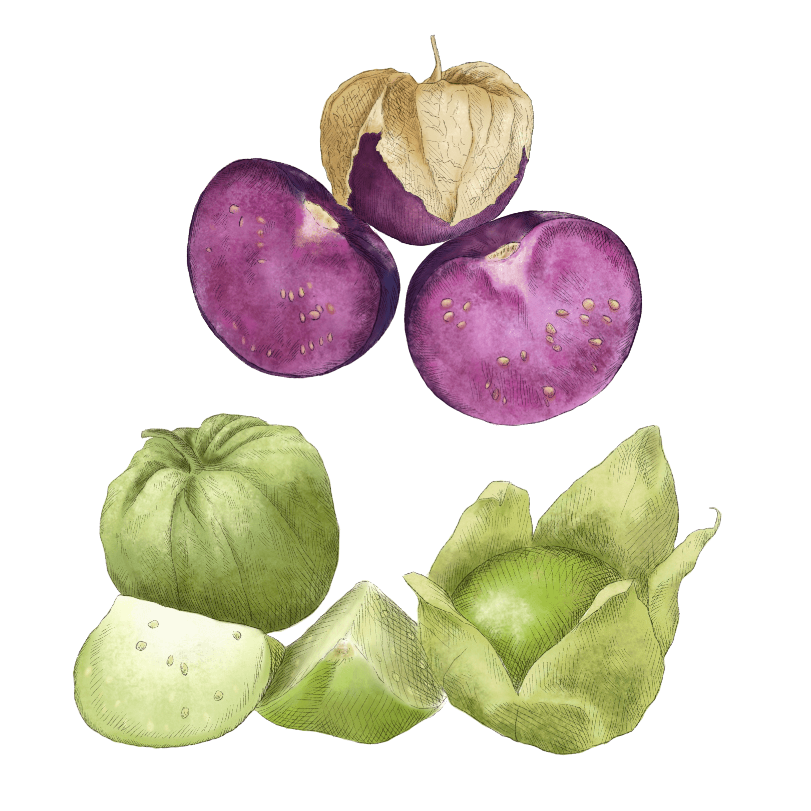 Tomatillo